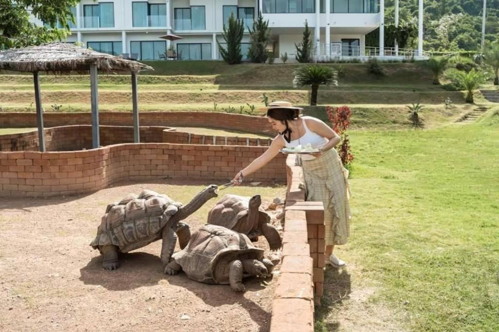 Viva Montane Hotel Ban Nong Chap Tao Ngoại thất bức ảnh